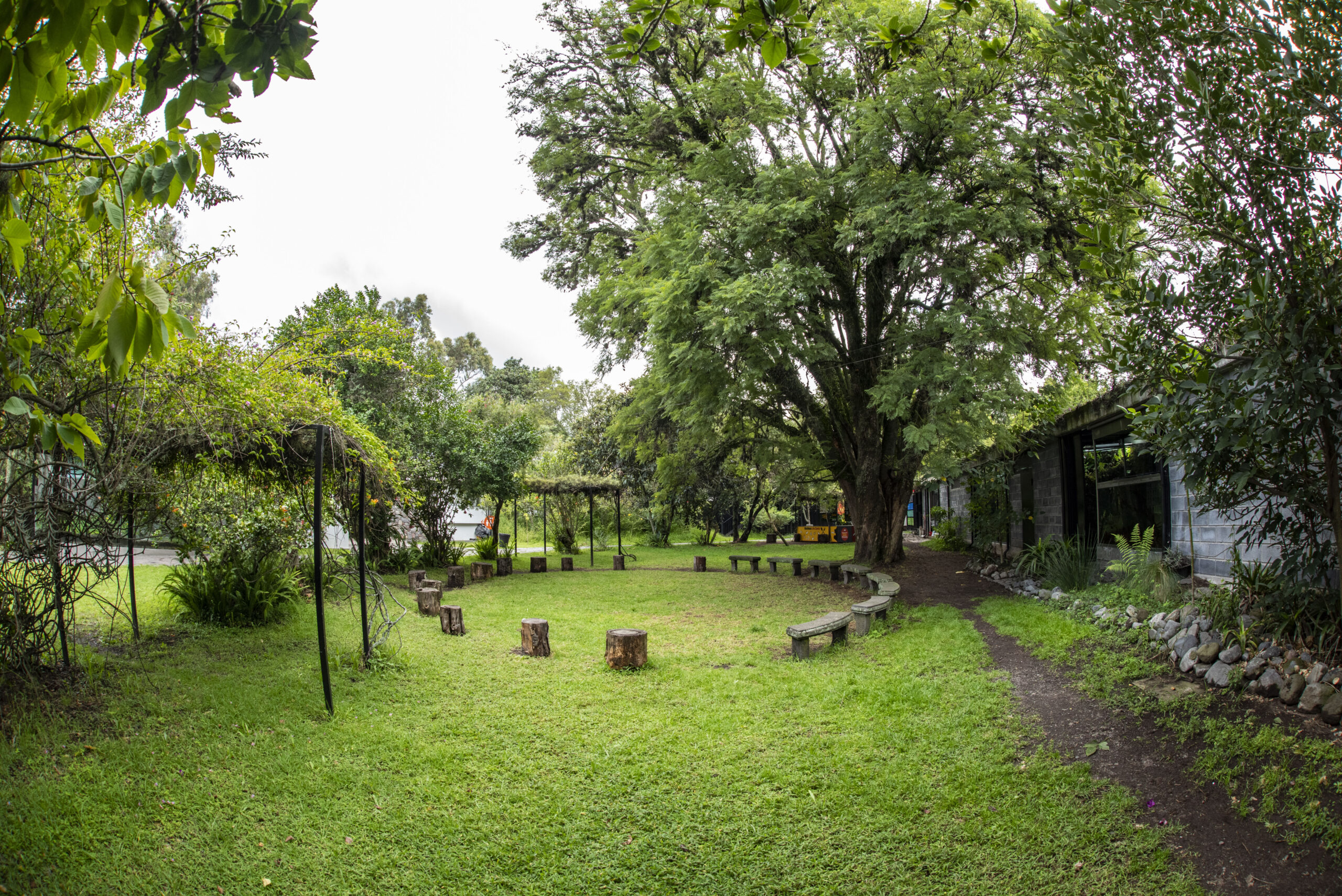 Patio central_2